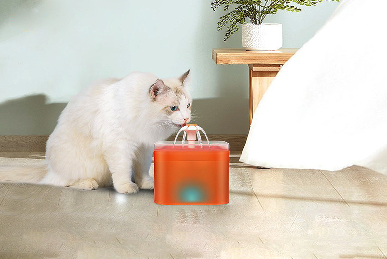 Automatic Pet Water Fountain Dispenser – 4 Colours | Pets | Offer Price £ 14.99 Automatic Pet Water Fountain Dispenser – 4 Colours | Pets | Offer Price £ 14.99