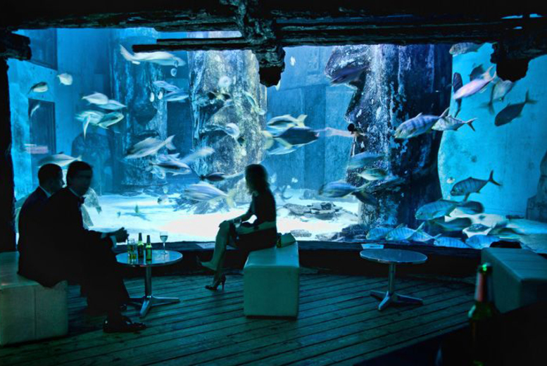 £15 instead of up to £27 for one ticket to ‘SEALIFE After Dark’ including Prosecco on arrival at London Aquarium - save up to 44%