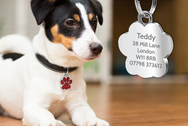 Personalised Engraved Glitter Paw Cat ID Tag – Durable Metal, Custom Cabin Font, 25mm | Wowcher