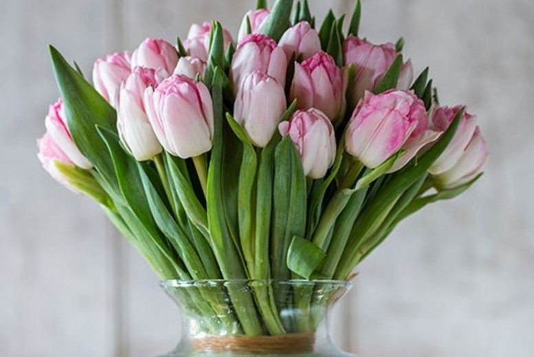 50% Discount Voucher for Tulip Bouquets | Wowcher