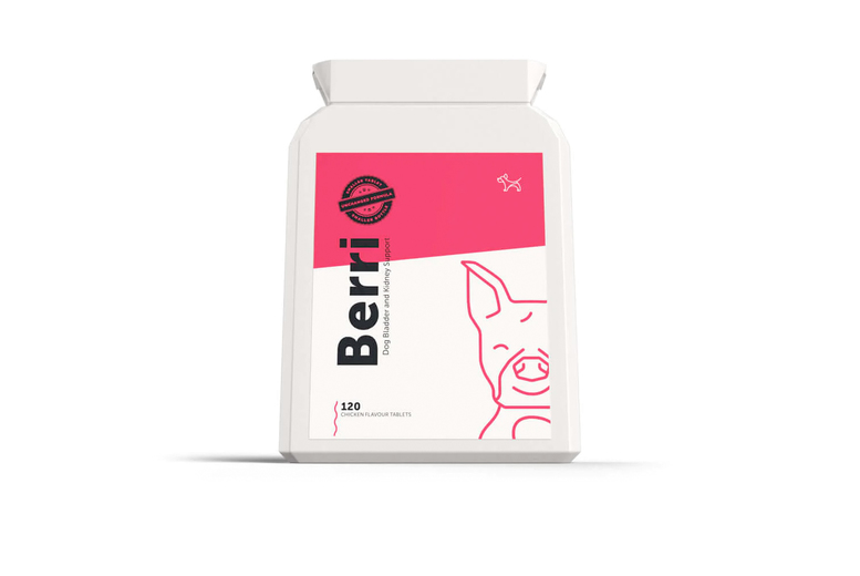 Berri Bladder & Kidney Cranberry Support Capsules for Dogs | Wowcher