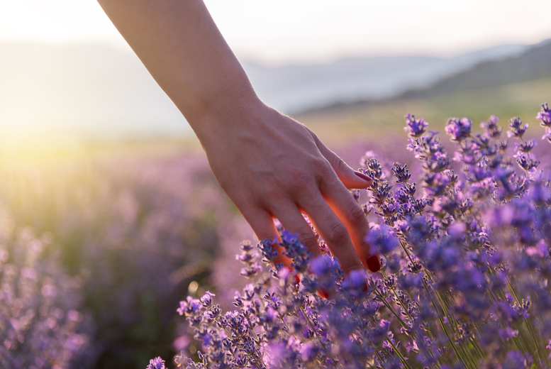 Calm Reflex Unisex 60 Minute Flower Therapy Healing Session - 3 Locations, Birmingham | Wowcher