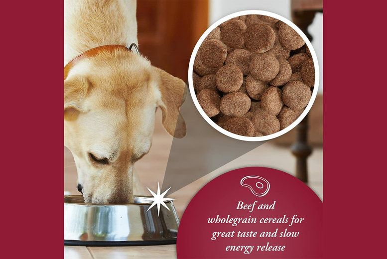 Pet Supermarket Arkwrights Dog Food Website Arkwrights Complete