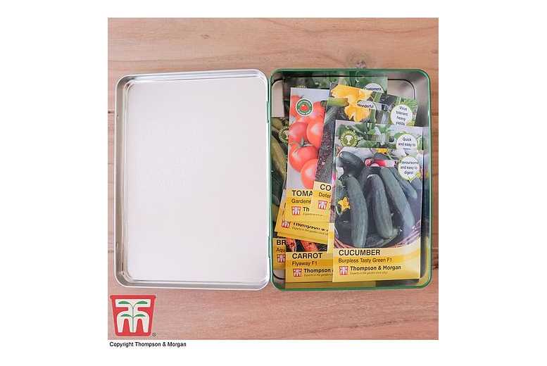 Charming Green Seed Storage Tin | Wowcher