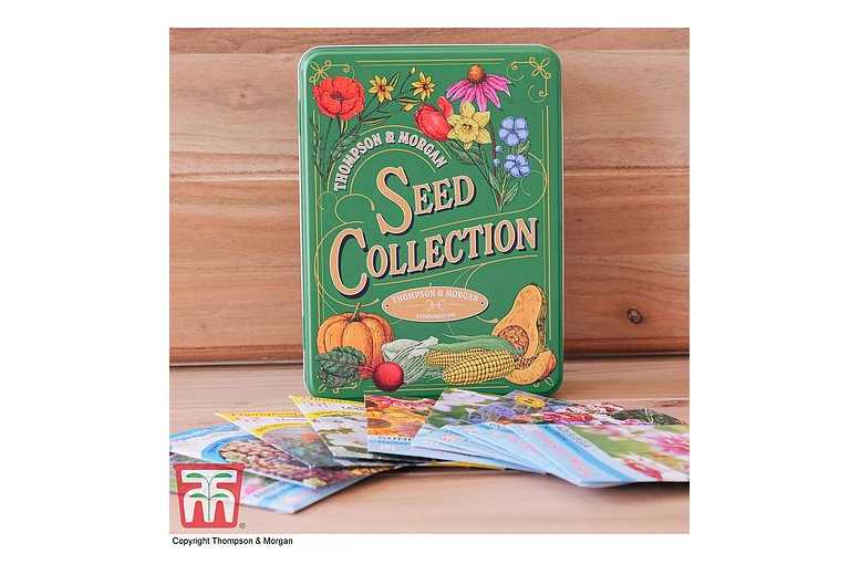 Vintage Flower Seed Storage Tin with 10 Free Seed Packets | Wowcher