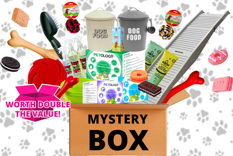 Mystery Dog Box – 4 Options – Worth Double The Value! | Wowcher