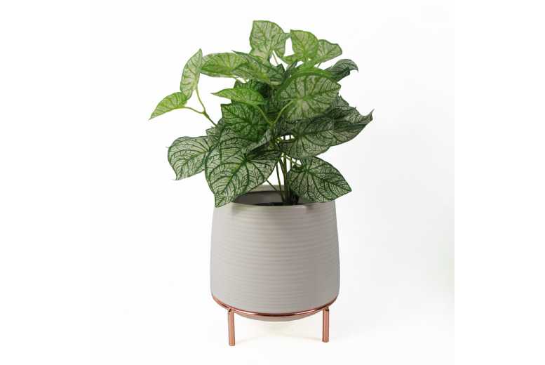 18cm White Ceramic Indoor Planter – Low Maintenance, Air-Purifying Pot | Wowcher