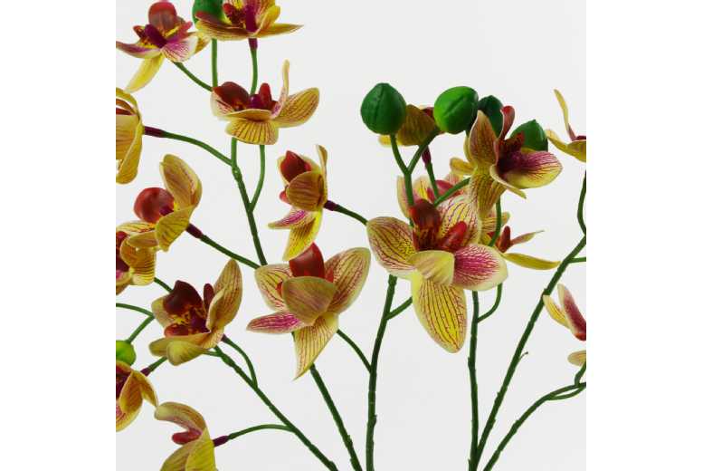 43cm Artificial Pink & Yellow Orchid – Indoor Potted Plant, Low Maintenance | Wowcher