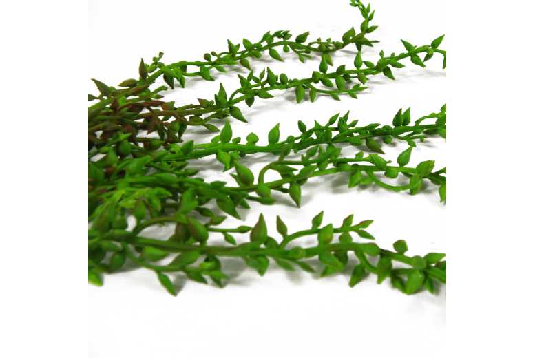 Indoor Hanging Artificial Climbing Fig Plant – Low Maintenance Foliage | Wowcher