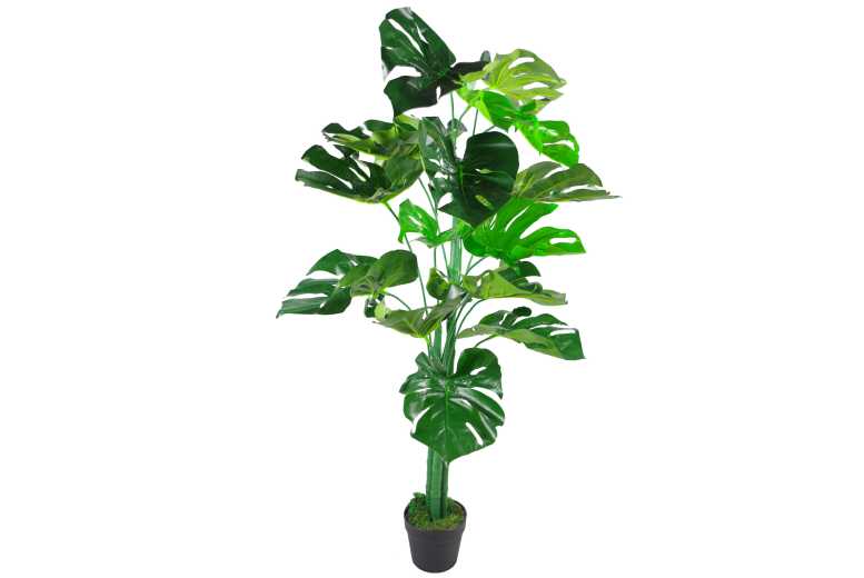 Artificial Monstera Indoor Plant – Low Maintenance, Air-Purifying | Wowcher