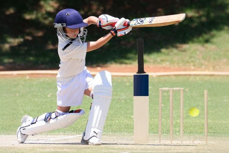 Childrens World Cup Family Cricket Set at LivingSocial