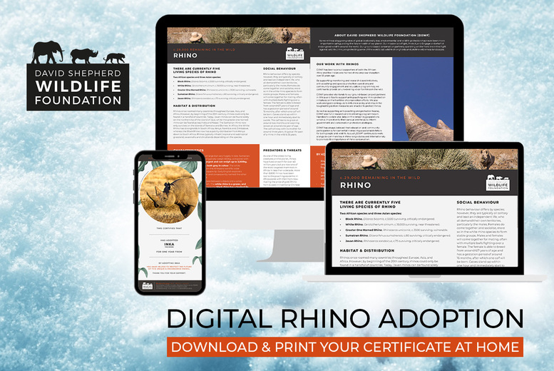 Digital Rhino Adoption Pack - Personalised Certificate, Fact Sheets & Photo - 3 Options - David Shepherd Wildlife Foundation - Ideal Gift for Conservation Supporters | Wowcher