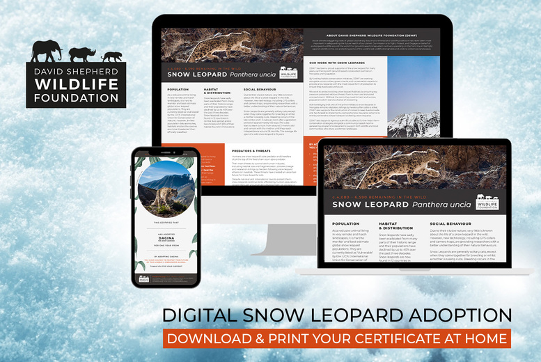 Digital Snow Leopard Adoption Pack - Personalised Certificate, Fact Sheets & Photo - 3 Options - David Shepherd Wildlife Foundation - Perfect Gift for Animal Lovers | Wowcher