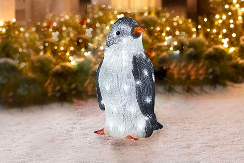 Set of 3 LED Christmas Penguin Decor in 2 Sizes and 2 Options | Wowcher