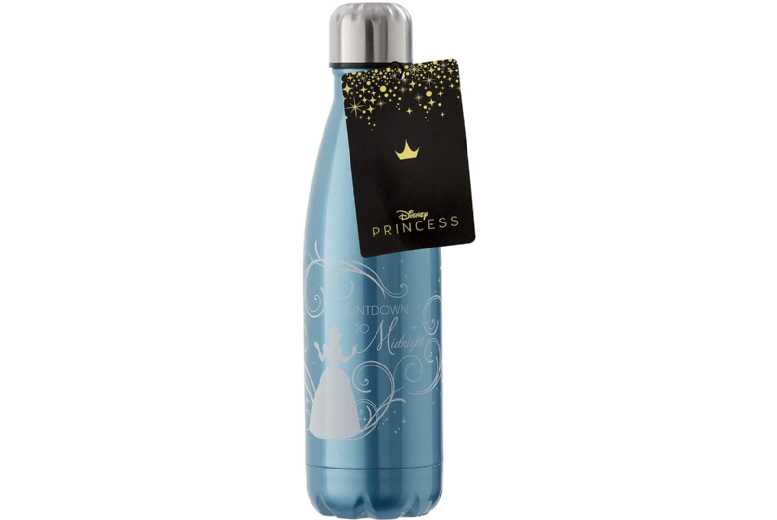 Cinderella Princess Stainless Steel Water Bottle – Ages 3+, Durable, Leakproof, Disney Gift | Wowcher