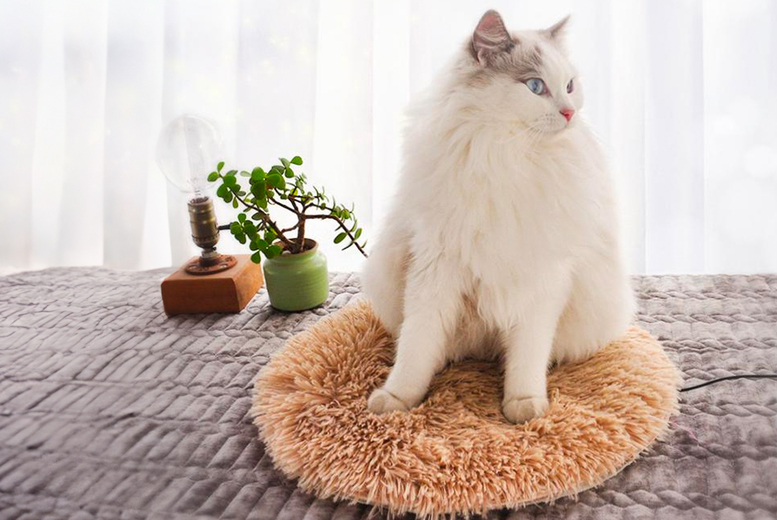 USB Electric Plush Heating Pad for Pets at LivingSocial