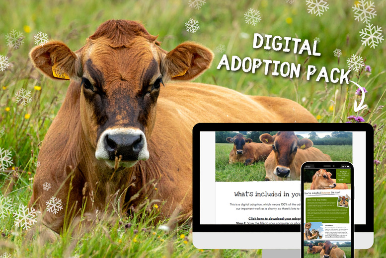 Adopt A Cow Experience - Digital Adoption Pack - Goodheart Animal Sanctuaries | Wowcher