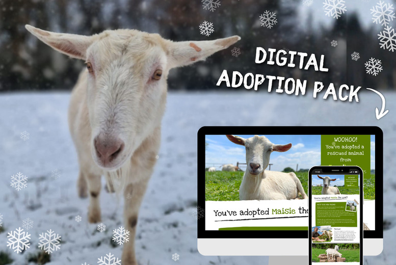 Adopt a Goat - Digital Adoption Pack - Goodheart Animal Sanctuaries | Wowcher