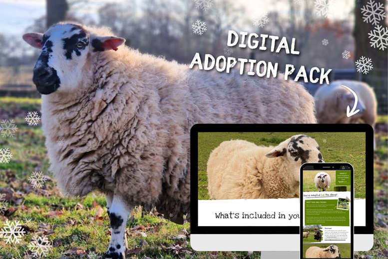 Adopt a Sheep for 1 - Digital Adoption Pack - Goodheart Animal Sanctuaries | Wowcher