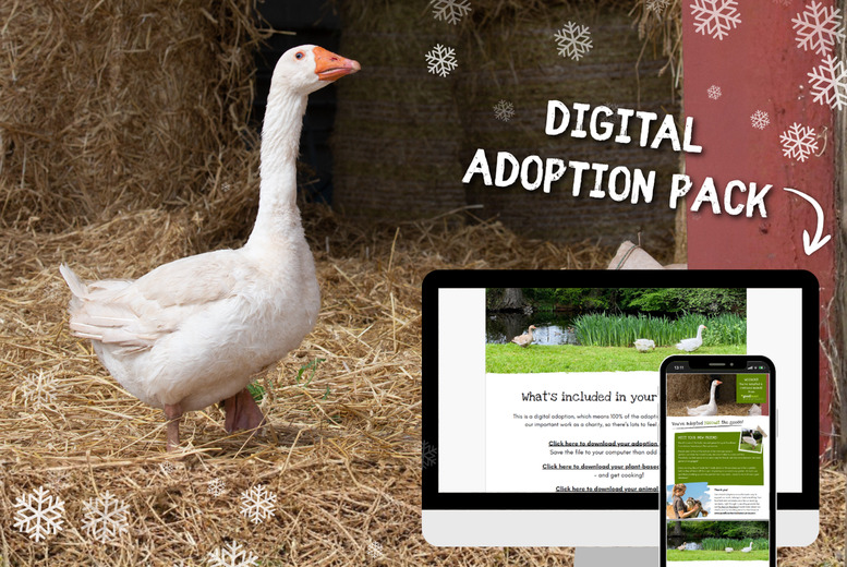 Adopt a Goose for One Year - Digital Adoption Pack from Goodheart Animal Sanctuaries | Wowcher