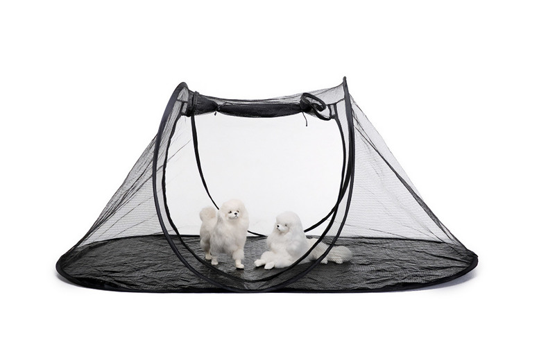 Outdoor Cat Tent – Mesh & Wire, Portable, Tunnel Option, Large Space | Wowcher