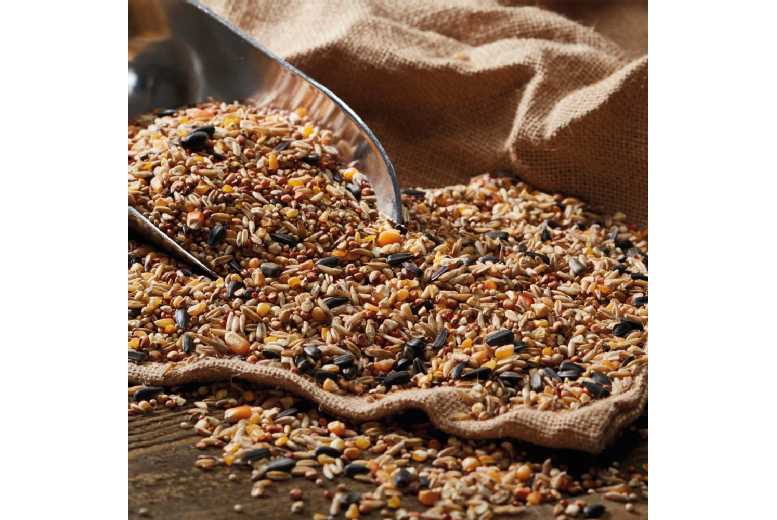 No Wheat Songbird Seed Mix – Pigeon-Resistant, Bulk 25.5kg (2×12.75kg) Sacks for Wildlife-Friendly Feeders | Wowcher