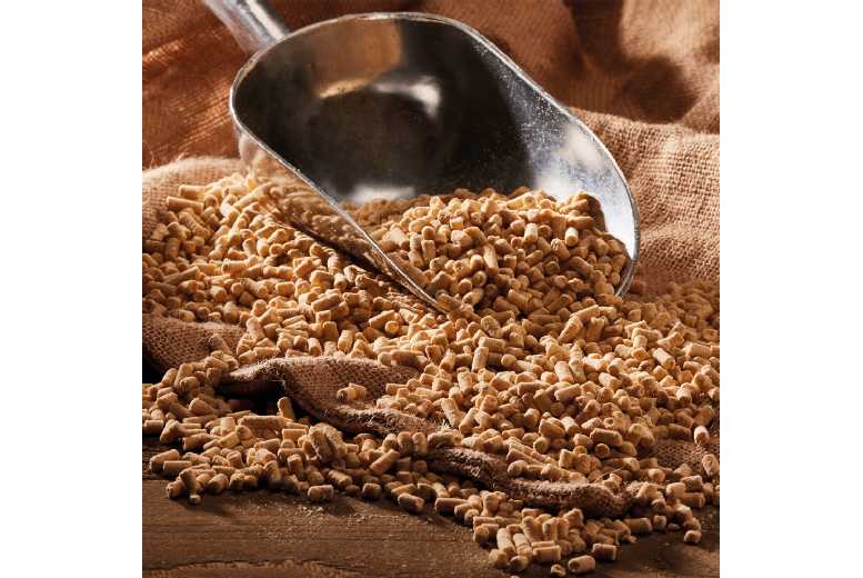 High-Energy Insect Suet Pellets for Bird Feeders – Attract Songbirds & Support Wildlife | Wowcher