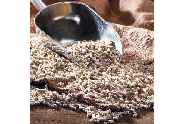 Thompson And Morgan Protein-Rich Mealworm Suet Pellets - Bird Feeder Wildlife Support | Wowcher