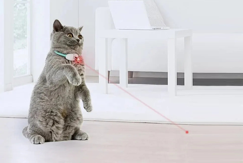 Smart Laser Cat Collar – Interactive Rechargeable Toy, Adjustable Fit, PC & TPU Material | Wowcher
