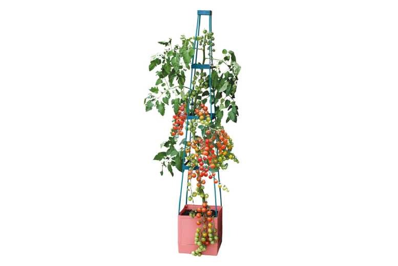 4 Tier Self-Watering Tomato Tower – Adjustable Plant Support, 1.5m Tall | Wowcher
