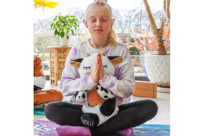 Miss Molly the Yoga Adventure Toy for All Ages | Wowcher