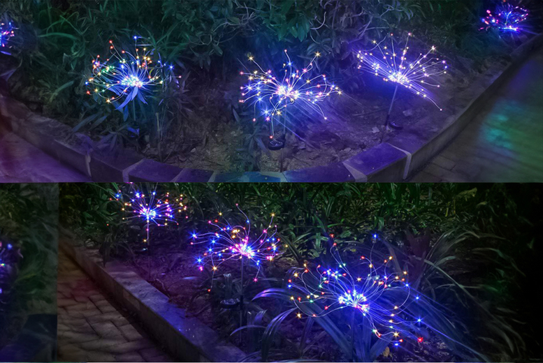 Solar LED Firework Garden Lights | Wowcher