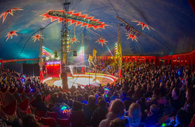 £7.50 for a child front view ticket to see Zippos Circus, or £9.50 for an adult front view ticket - choose from 4 locations and save up to 50%