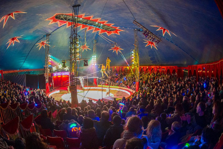 £7.50 for a child front view ticket to see Zippos Circus, or £9.50 for an adult front view ticket - choose from 4 locations and save up to 50%