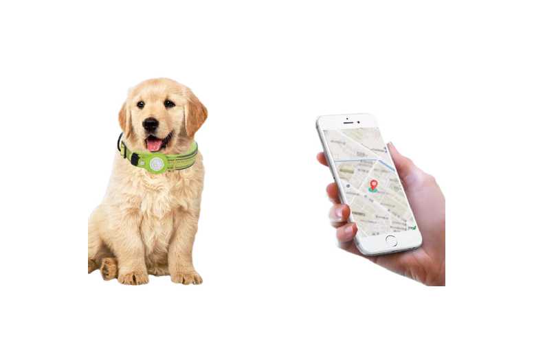 Durable AirTag Dog Collar Case – Impact-Resistant, Adjustable, Night-Glow, All Breeds | Wowcher Durable AirTag Dog Collar Case – Impact-Resistant, Adjustable, Night-Glow, All Breeds | Wowcher