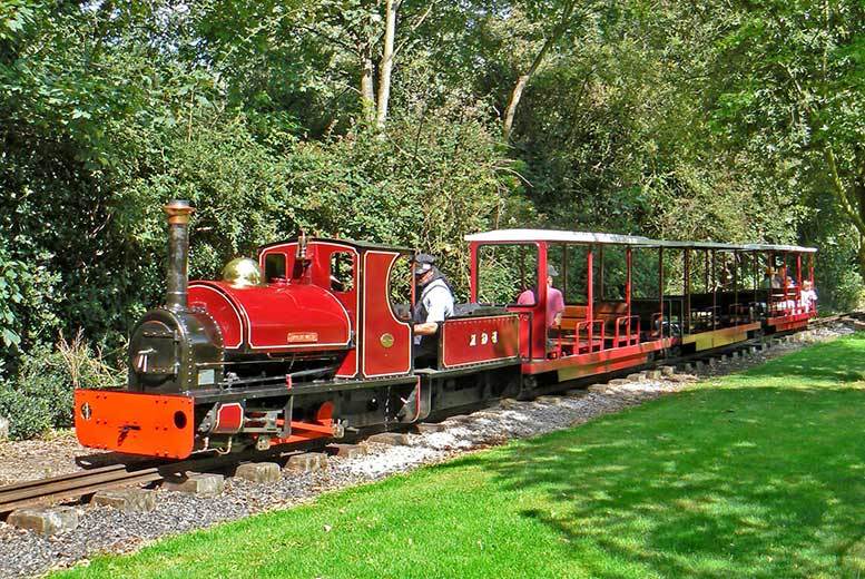 Â£24 For A Steam Train Experience For Two People In Bressingham ...