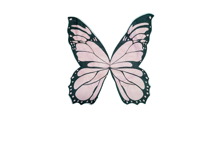 Mother & Daughter Deluxe Butterfly Wings Costume Set – Fancy Dress for Kids & Adults, Perfect for Halloween, Parties & World Book Day | Wowcher