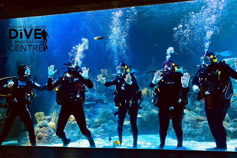 2-Hour Shark Diving Experience & Skegness Aquarium Entry for 1 + Spectator | Wowcher 2-Hour Shark Diving Experience & Skegness Aquarium Entry for 1 + Spectator | Wowcher