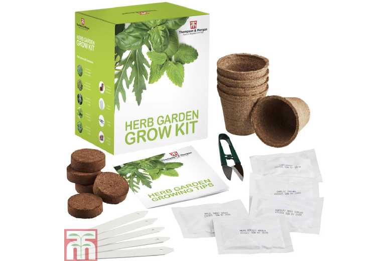 Herb Garden Seed Grow Kit - 5 Easy-Grow Culinary Herb Varieties | Wowcher