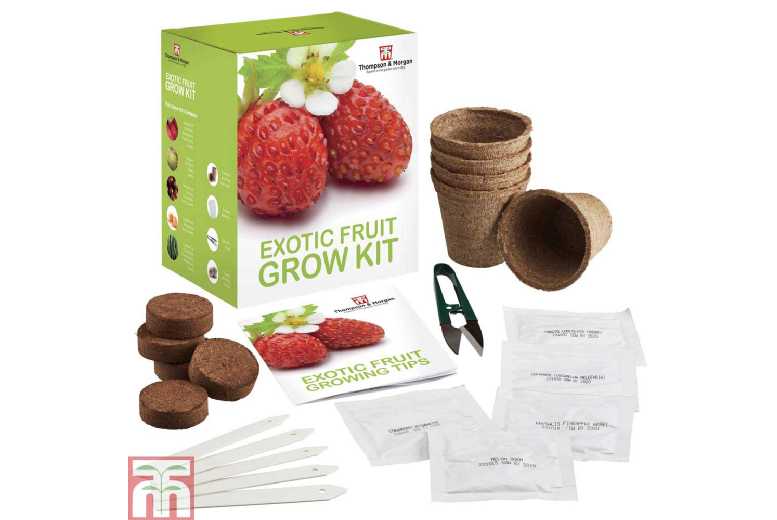 Exotic Fruit Seed Grow Kit - 5 Varieties | Wowcher