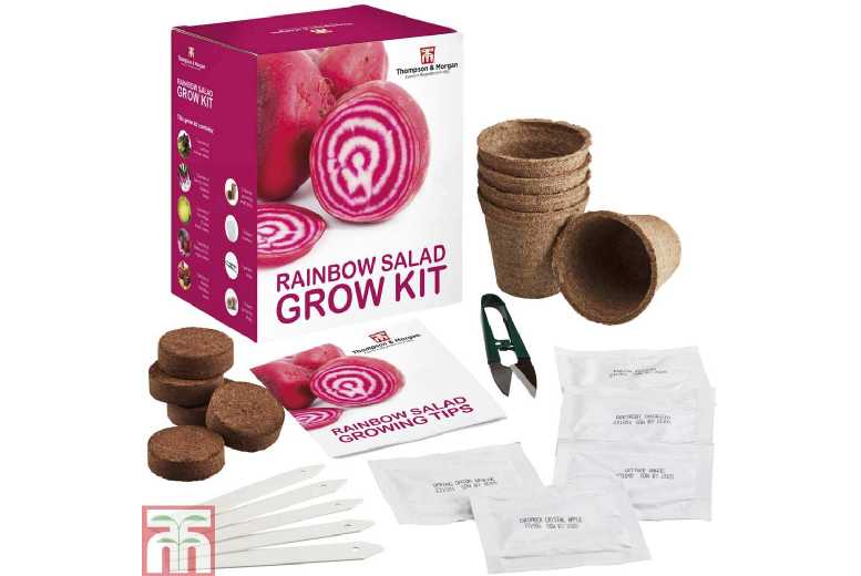 Seed Grow Kit – Vibrant Rainbow Salad Mix – Grow Your Own Edible Plants | Wowcher