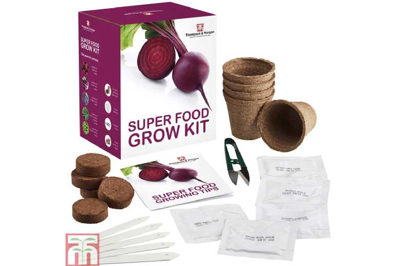 Super Food Seed Grow Kit Extravaganza | Wowcher