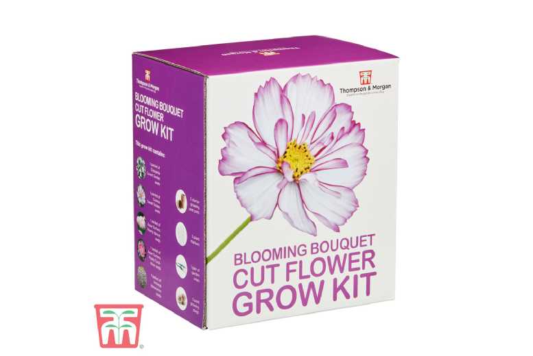 Seed Grow Kit for Vibrant Cut Flowers | Wowcher
