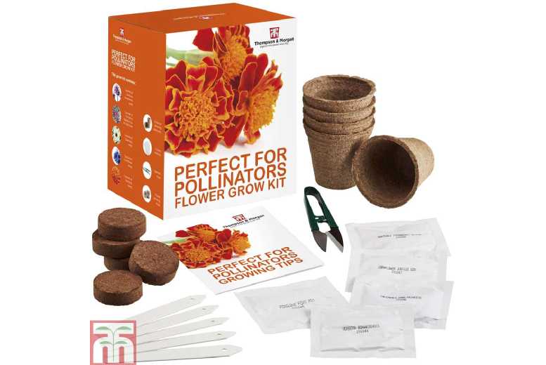 Pollinator Flower Seed Kit – 5 Varieties for Bees & Butterflies | Wowcher