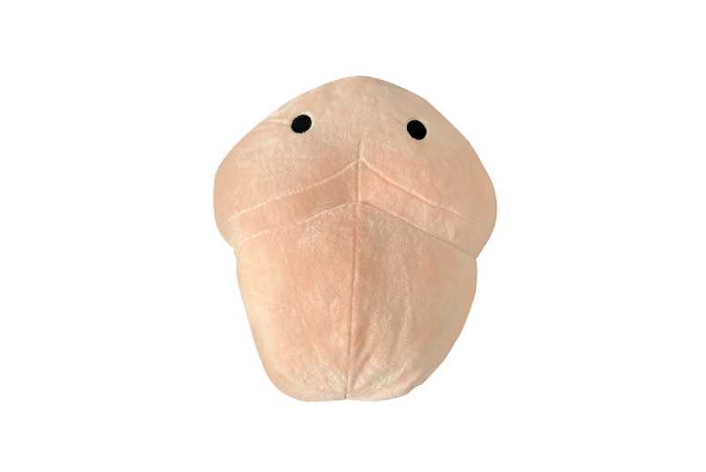 Winning Willy the Ultimate Warmer | Wowcher