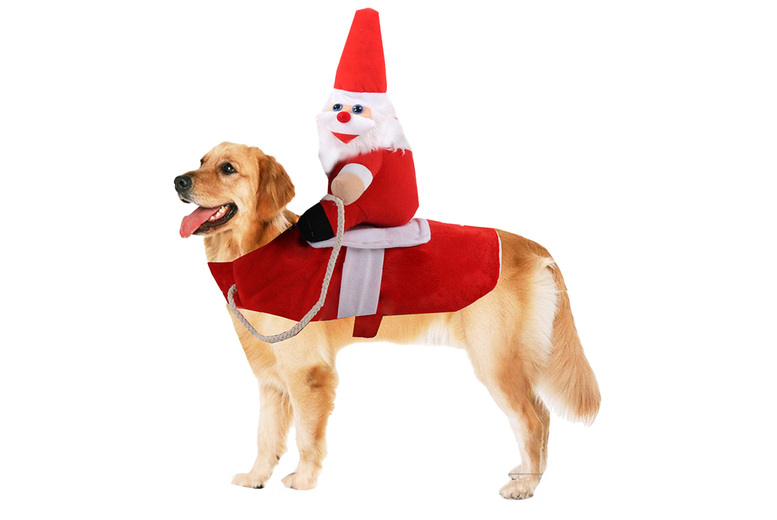 Santa or Knight Christmas-Themed Pet Costume – 4 Sizes | Wowcher