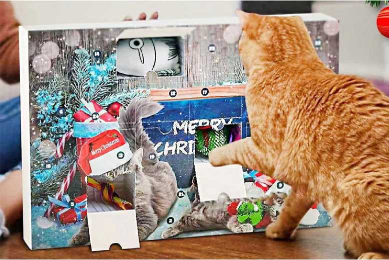 2024 Cat Toys Christmas Advent Calendar | Wowcher