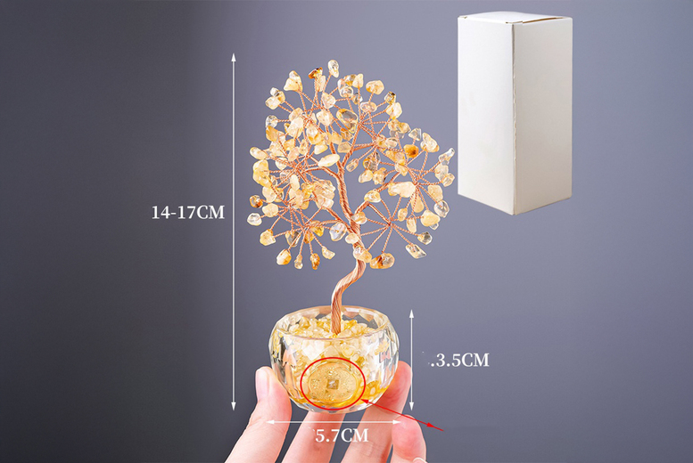 Crystal Money Trees – 10 Colours | Wowcher