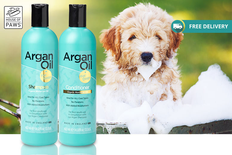 argan dog shampoo