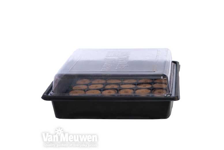 Self-Watering Seed Starting Kits for 3 Plants | Wowcher